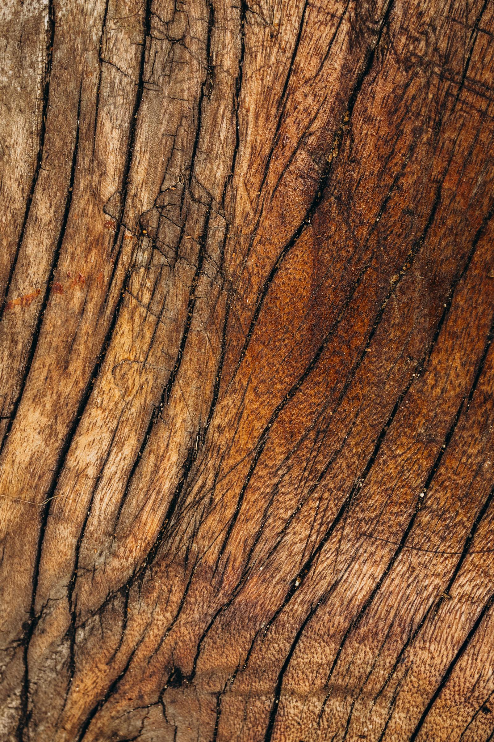 Sable 65 | walnut | linear